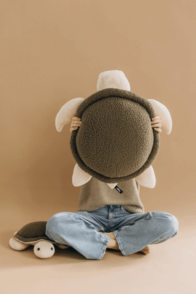 Turtle Toy – The Turtle