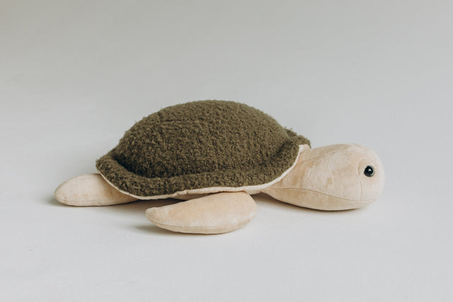 Turtle Toy - The Mini Turtle