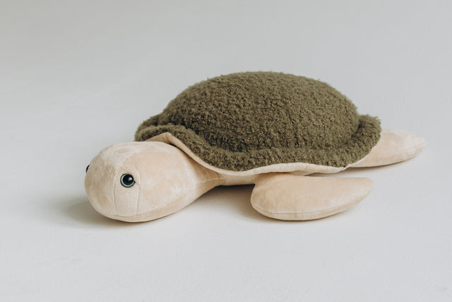Turtle Toy - The Mini Turtle