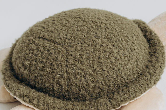Turtle Toy - The Mini Turtle