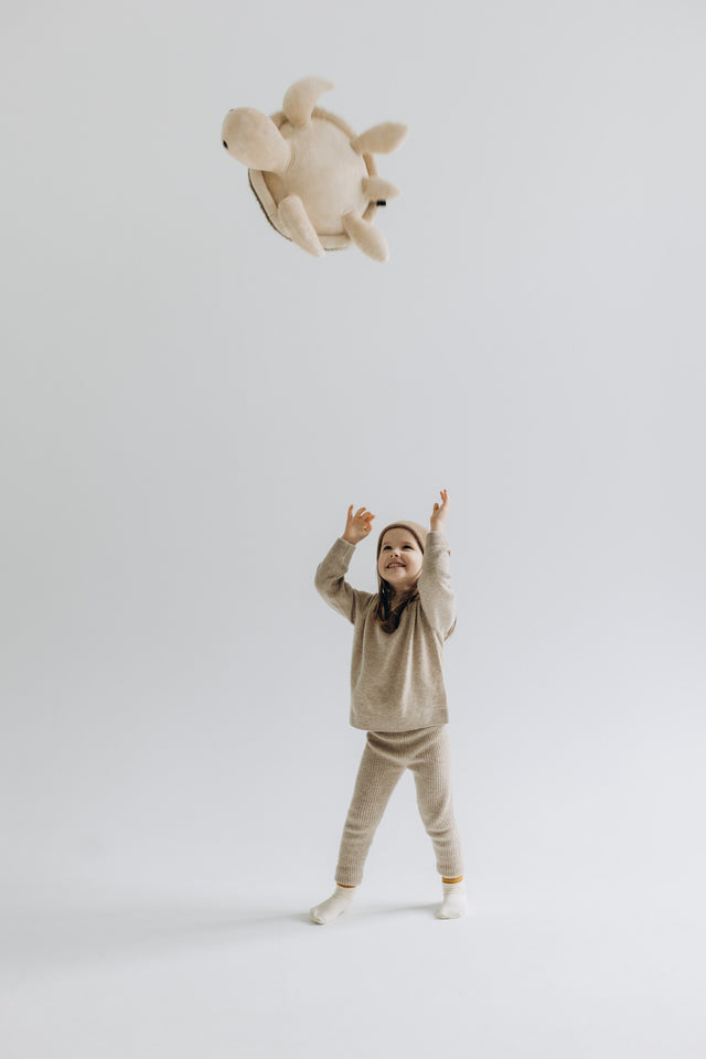 Turtle Toy - The Mini Turtle