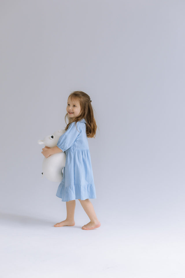 Hippo Toy - The Hippo