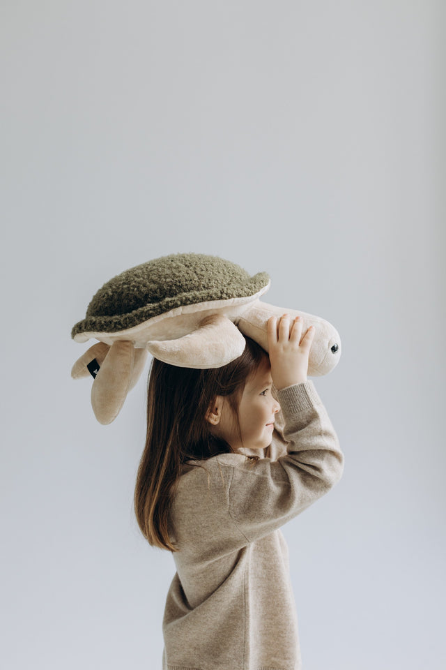 Turtle Toy - The Mini Turtle