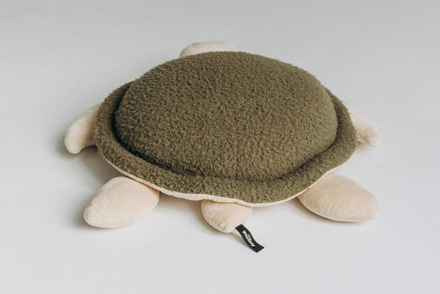 Turtle Toy – The Turtle
