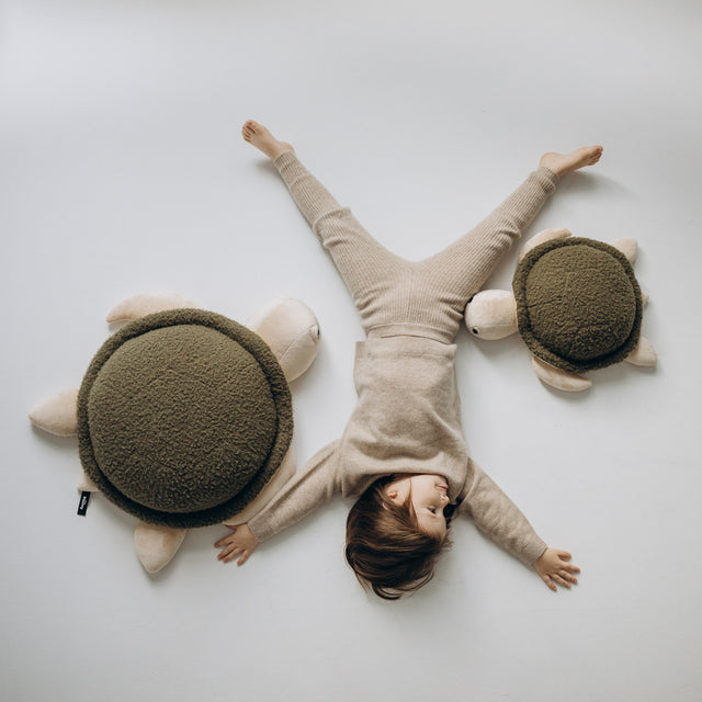 Turtle Toy – The Turtle
