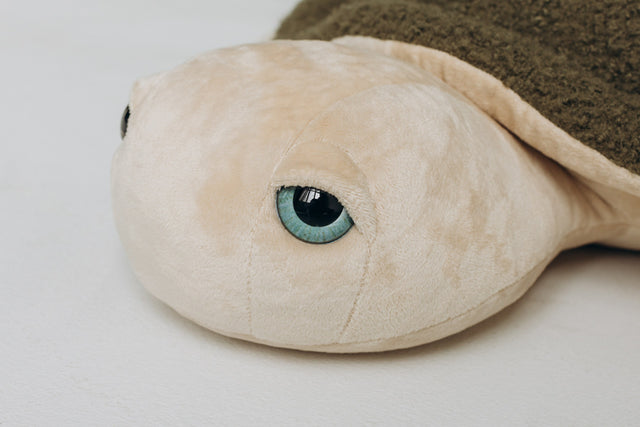Turtle Toy – The Turtle