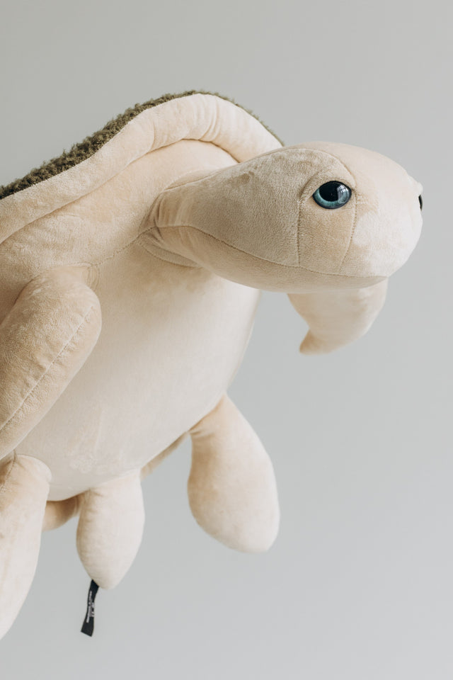 Popular Plush Toys