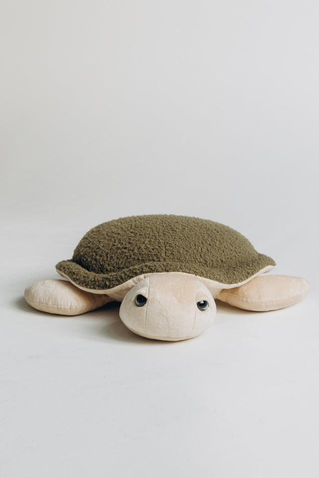 Turtle Toy – The Turtle