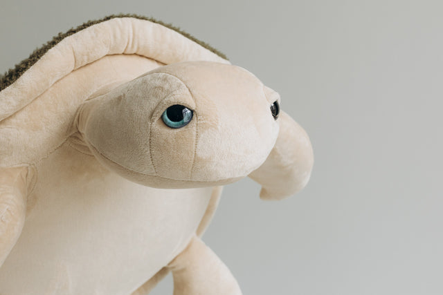 Turtle Toy – The Turtle
