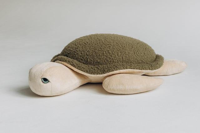Turtle Toy – The Turtle