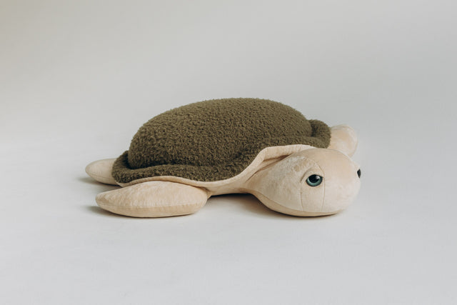 Turtle Toy – The Turtle
