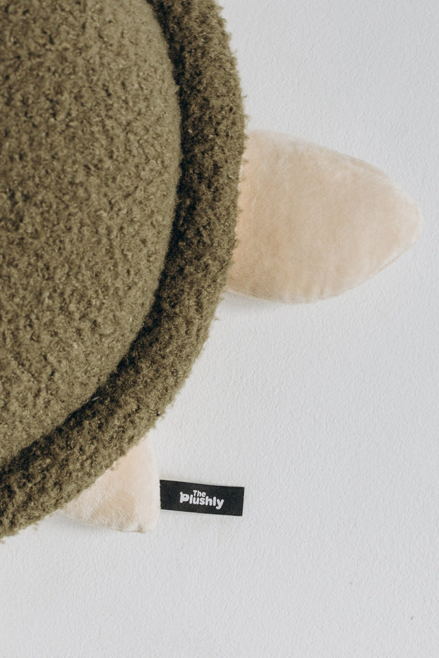 Turtle Toy – The Turtle