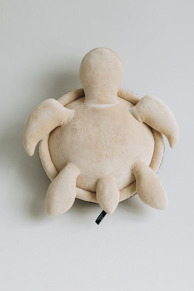 Turtle Toy – The Turtle
