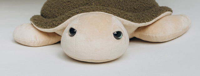 Turtle Toy – The Turtle
